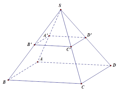 Cho hình chóp S.ABCD có đáy là hình bình hành. Gọi A',B',C',D' lần lượt là trung điểm của các cạnh SA,SB,SC,SD.  Đường thẳng không song song với A'B' là (ảnh 1)