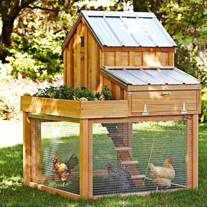 A chicken coop with chickens in it

AI-generated content may be incorrect.