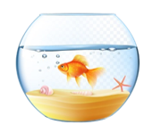 a) Trong bể có mấy chú cá? (ảnh 1)