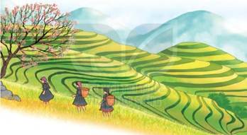 A cartoon of women carrying baskets on a field
AI-generated content may be incorrect.