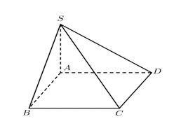 Cho hình chóp S.ABCD có đáy ABCD là hình chữ nhật (ảnh 1)