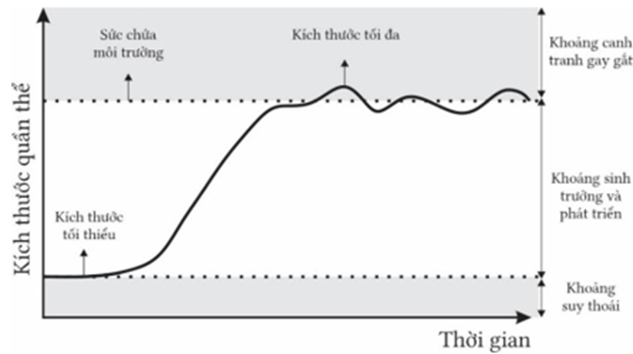 Hình bên mô tả sự thay đổi kích thước quần thể theo thời gian. Có bao nhiêu nhận định sau đây đúng? (ảnh 1)
