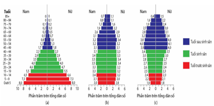 Biểu đồ tháp tuổi dưới đây, mô tả tháp tuổi ở ba quần thể người năm 2020: Zambia (a), Mỹ (b), Italy (c). Có bao nhiêu nhận định sau đây đúng? (ảnh 1)