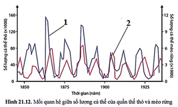 Cho biểu đồ sau đây về sự biến động số lượng cá thể của quần thể thỏ và mèo rừng. Có bao nhiêu phát biểu sau đây đúng? (ảnh 1)