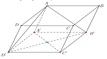 Cho hình hộp ABCD.A'B'C'D' (như hình vẽ). Mặt phẳng AB'D' song song  (ảnh 1)