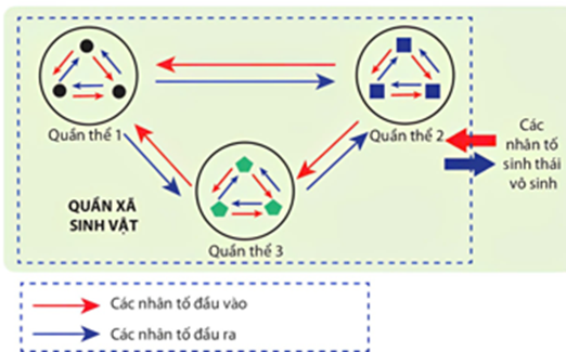 Sơ đồ sau minh hoạ các mối quan hệ trong quần xã có bao nhiêu phát biểu đúng? (ảnh 1)