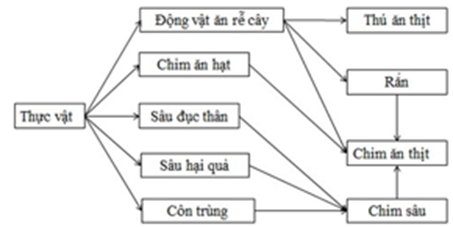 Giả sử lưới thức ăn trong hệ sinh thái được mô tả bằng sơ đồ ở hình bên: (ảnh 1)