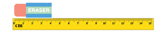 Đánh dấu √ vào ô trống chỉ đồ vật có độ dài 1 dm: (ảnh 2)