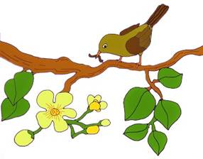 Trong trí nhớ của chú chim sâu, đâu là hình ảnh đẹp đẽ nhất ? Đ