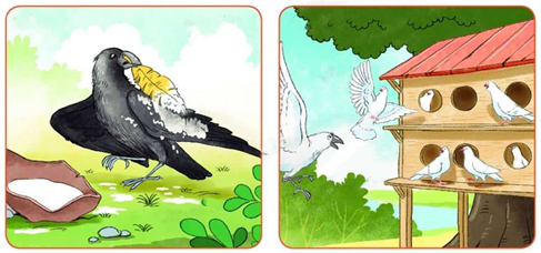 A bird and a bird feeder
AI-generated content may be incorrect.