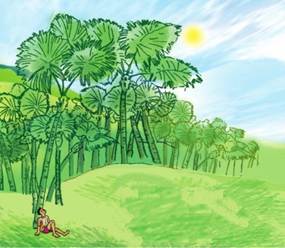 Lý thuyết tập đọc: mặt trời xanh của tôi tiếng việt 3