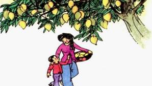 bài giảng tiếng việt lớp 2 | phần tập đọc | Tuần 11 Cây xoài của ông em