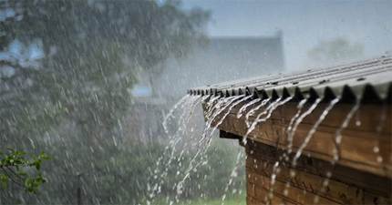 TOP 12 đoạn văn Tả cơn mưa lớp 5 ngắn gọn