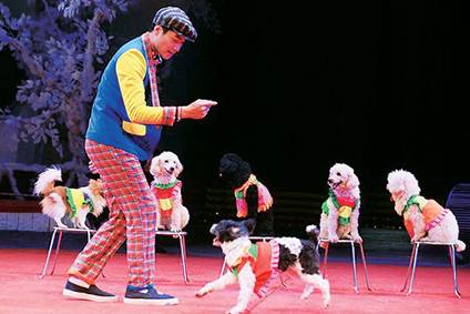 Cho thu&ecirc; biểu diễn xiếc th&uacute; - Cho thu&ecirc; biểu diễn xiếc ảo thuật gi&aacute; gi&aacute; rẻ