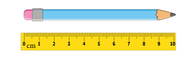 Chiếc bút dài: (ảnh 1)