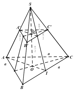 Cho hình chóp cụt đều ABC.A'B'C' với đáy lớn ABC có cạnh bằng a. Đáy nhỏ A'B'C' có cạnh bằng a/2, chiều cao OO' = a/2. Các mệnh đề sau đúng hay sai? (ảnh 1)
