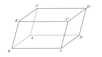 Cho hình hộp ABCD.A'B'C'D' (ảnh 1)