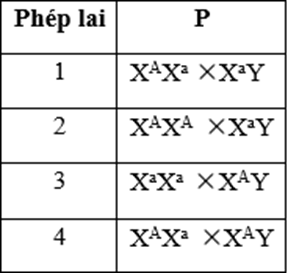 Người ta sử dụng gene quy định màu sắc vỏ trứng nằm trên nhiễm sắc thể X, không có allele trên Y ở tằm dâu để phân biệt giới tính tằm nhằm tăng năng suất tạo ra tơ (ảnh 1)