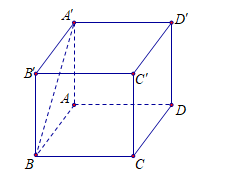 Cho hình lập phương ABCD.A'B'C'D'. Góc giữa hai đường thẳng BA' và CD bằng: (ảnh 1)