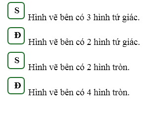 Đúng ghi Đ, sai ghi S (ảnh 2)