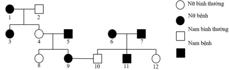 Sơ đồ phả hệ bên mô tả sự di truyền một bệnh ở người, bệnh do một gene có 2 allele quy định. Xét các phát biểu sau đây là đúng hay sai? (ảnh 1)