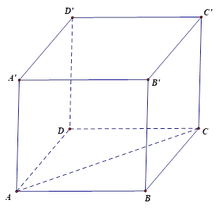 Cho h&igrave;nh lập phương ABCD.A'B'C'D'. G&oacute;c giữa AC v&agrave; AA' l&agrave;: (ảnh 1)