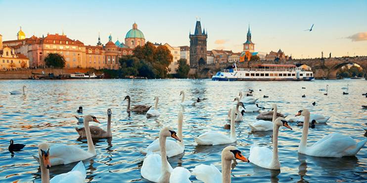 &Ocirc; cửa sổ bệnh viện - EZCARE