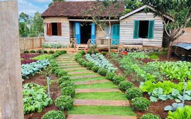 Ng&ocirc;i nh&agrave; vườn xinh y&ecirc;u như trong cổ t&iacute;ch của c&ocirc; n&agrave;ng 9X