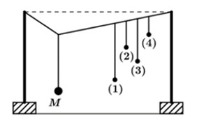 Thực hiện thí nghiệm về dao động cưỡng bức như hình bên. Năm con lắc đơn: (1), (2), (3), (4) và M (con lắc điều khiển) được treo trên một sợi dây. Ban đầu hệ đang đứng yên ở vị trí cân bằng.  (ảnh 1)