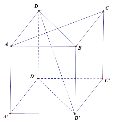 Cho hình lập phương ABCD.A'B'C'D'. Góc giữa hai đường thẳng AC và B'D bằng (ảnh 1)