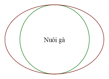 Tính diện tích phần làm đường đi. Biết diện tích hình Elip được tính theo công thức \(S = \pi ab\) với độ rộng của đường Elip, đường tròn là không đáng kể. (ảnh 1)