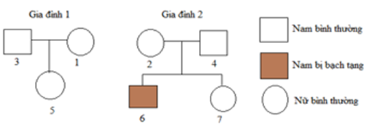 Phả hệ dưới đây mô tả sự di truyền bệnh ở hai gia đình. Allele A quy định màu da bình thường trội hoàn toàn so với allele a quy định da bị bạch tạng (gene nằm trên NST thường). (1) và (2) là hai chị em song sinh cùng trứng. (ảnh 1)