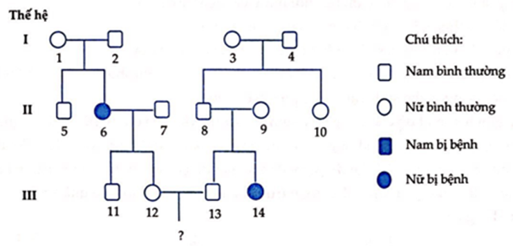 Sơ đồ phả hệ sau đây mô tả một bệnh di truyền hiếm gặp ở người do một gene có 2 allele quy định: (ảnh 1)