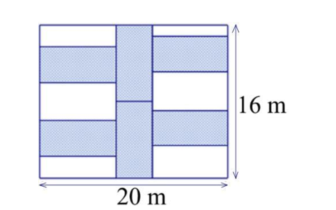 Điền số thích hợp vào chỗ trống.  Một khu vườn hình chữ nhật có chiều dài là 20 m (ảnh 1)