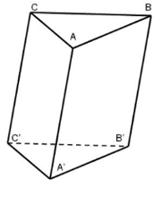 Cho hình lăng trụ tam giác ABC.A'B'C' (hình bên) (ảnh 1)
