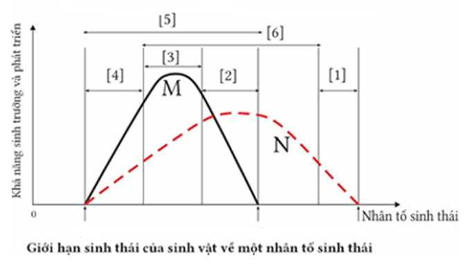 Hình vẽ mô tả giới hạn sinh thái của 2 loài sinh vật về một nhân tố sinh thái (độ pH tăng dần từ trái sang phải). Có bao nhiêu nhận định sau đây đúng? (ảnh 1)