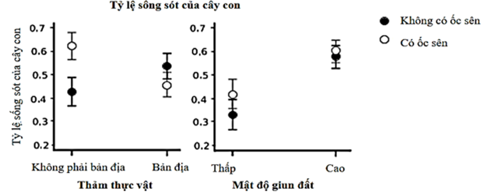 Để hiểu tác động của một số yếu tố lên thực vật Agrimonia ro.ellata trong hệ sinh thái rừng, các nhà khoa học đã trồng cây con vào các khu vực thí nghiệm (ảnh 1)