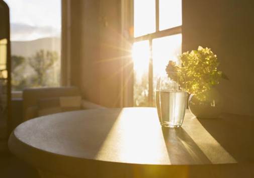 A glass of water and a plant on a table

AI-generated content may be incorrect.