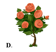 b) Bức tranh có 8 bông hoa là: (ảnh 5)