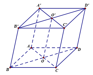 Cho hình hộp ABCD.A'B'C'D'. Mệnh đề nào sau đây sai? (ảnh 1)