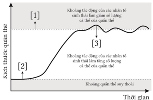 Hình bên mô tả sự thay đổi kích thước quần thể theo thời gian. Có bao nhiêu nhận định sau đây đúng? (ảnh 1)