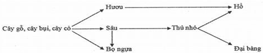 Cho các kết luận sau về lưới thức ăn này, có bao nhiêu phát biểu đúng? (ảnh 1)