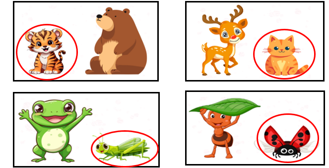 Khoanh vào con vật thấp hơn. (ảnh 2)