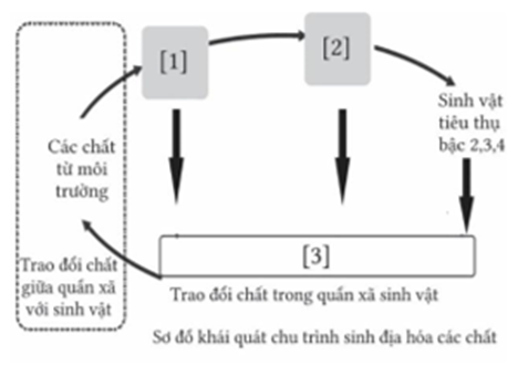 Sơ đồ khá quát chu trình sinh địa hóa các chất sau, có bao nhiêu phát biểu đúng? (ảnh 1)