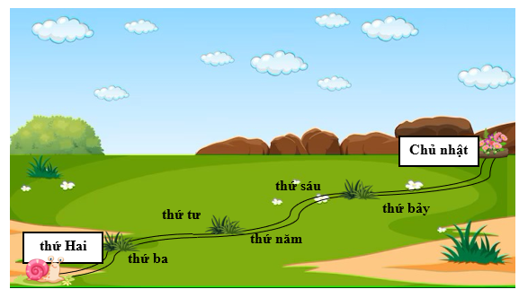 Viết các ngày còn thiếu trong hành trình trở về nhà của ốc sên: (ảnh 2)