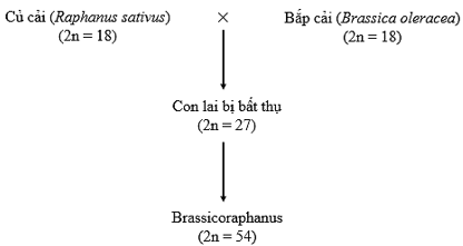 A diagram of a number of numbers

AI-generated content may be incorrect.