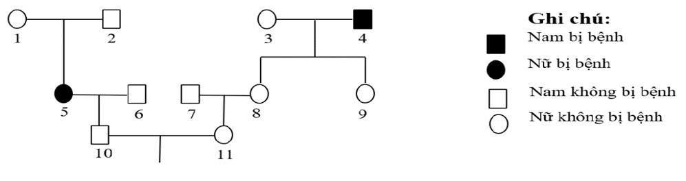 Phả hệ sau đ&acirc;y m&ocirc; tả sự di truyền của một bệnh ở người do 1 trong 2 allele của 1 gene quy định:  (ảnh 1)
