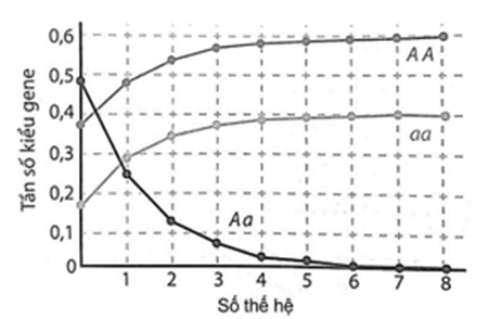 Hình bên mô tả sự biến đổi tần số ba kiểu gene  AA, Aa, aa ở một quần thể thực vật. Biết quần thể không chịu tác động của chọn lọc tự nhiên và yếu tố ngẫu nhiên (ảnh 1)