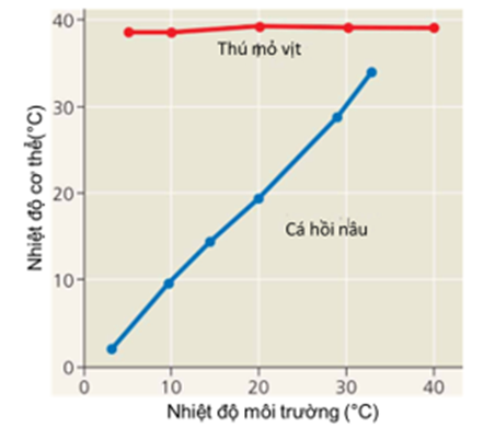 . H&igrave;nh dưới đ&acirc;y m&ocirc; tả mối quan hệ giữa nhiệt độ m&ocirc;i trường v&agrave; nhiệt độ cơ thể của th&uacute; mỏ vịt (Ornithorhynchus anatinus) v&agrave; c&aacute; hồi n&acirc;u (Salmo trutta morpha fario ). Nhận định n&agrave;o sau đ&acirc;y đ&uacute;ng hay sai? (ảnh 1)