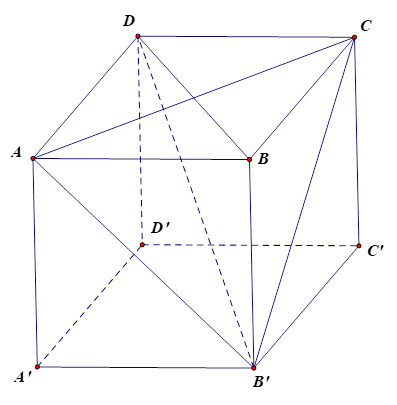 Cho hình lăng trụ tứ giác đều ABCD.A'B'C'D'. Mặt phẳng (AB'C) vuông góc với mặt phẳng nào sau đây? (ảnh 1)